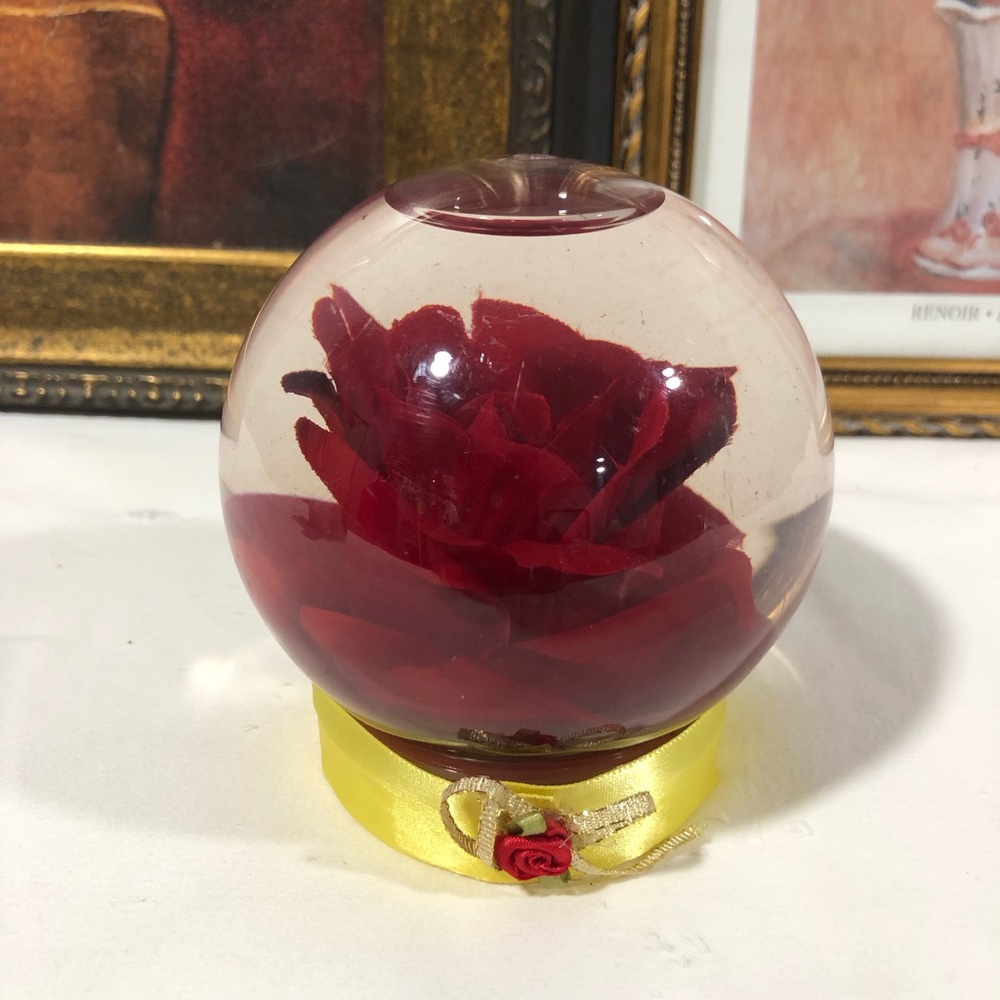 Rose in plastic glass